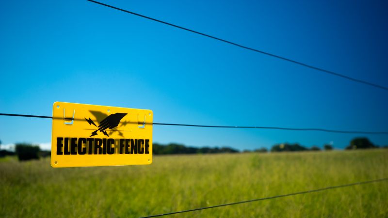 Iron Fencing Service